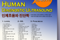 Human Diagnostic Ultrasound